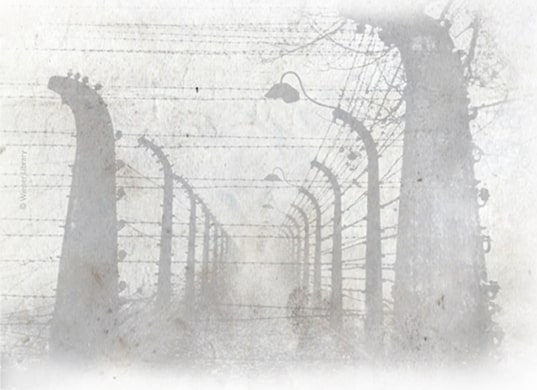 Luca Bravi e il Porrajmos, il genocidio di Rom e Sinti